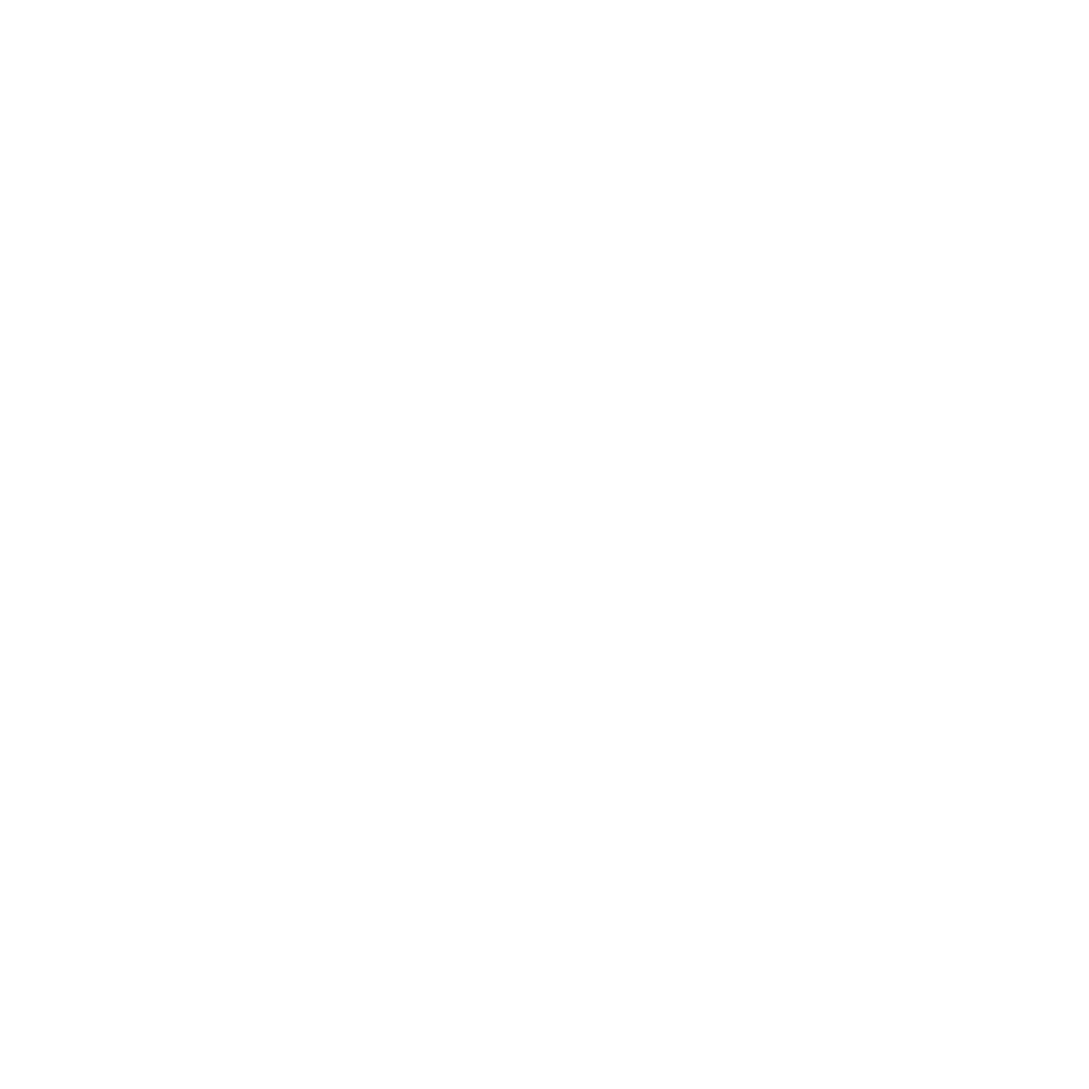 WordPress Icon